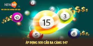 Soi Cầu Ba Càng NEW88 Có Thật Sự Hiệu Quả?